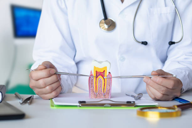 Best Root Canal Emergency Dentist  in Beloit, OH